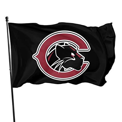 Chapman University 3x5 Foot Indoor Outdoor Flag_ Vivid Color and UV Fade Resistant_ Brass Grommets