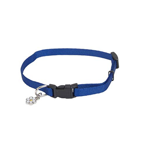 Coastal Pet Li l Pals Adjustable Nylon Dog Collar _Blue_ 6_8 Inch L x 5 16 Inch W_