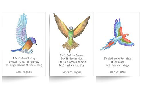 Set of 3 Unframed Inspirational Bird Quotes _ Unframed Prints