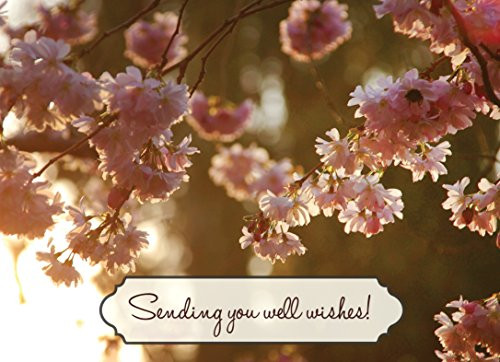 Get Well Greeting Cards - GW1601. Greeting Cards Featuring Budding Flowers on a Sunny Day. Box Set Has 25 Greeting Cards and 26 Bright White Envelopes.