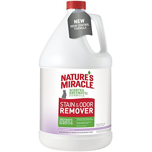 Nature's Miracle P-96998 Just for Cat Stain and Odor Remover, Lavender