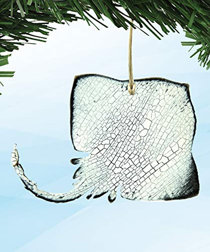 Coastal Christmas Ornaments_ Stingray Ornaments_ Set Of 3