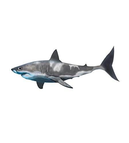 VWAQ Great White Shark Wall Decal Peel  and  Stick Room Decor _13 inch  H X 33 inch  W_