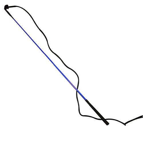 Intrepid International Horse Training Stick and Whip_ Blue