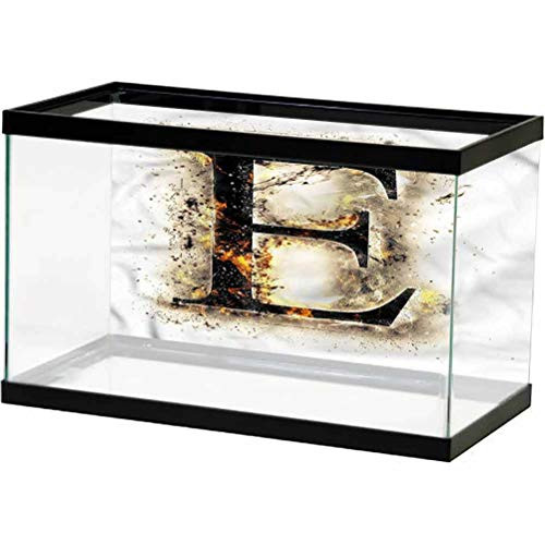 ScottDecor Letter E Seabed World Backdrop Blaze Hot Fire E Sign PVC Adhesive Poster L24 X H12 Inch ScottDecor Letter E Seabed World Backdrop Blaze Hot Fire E Sign PVC Adhesive Poster L24 X H12 Inch