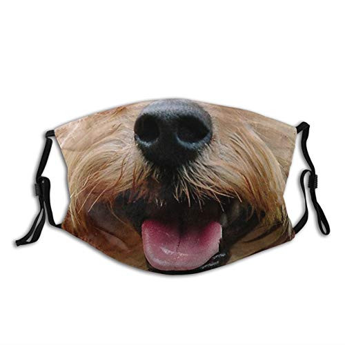 Dog Mouth Mas_k Reusable Adjustable Dust_Proof Face Covering 5 PCS Black
