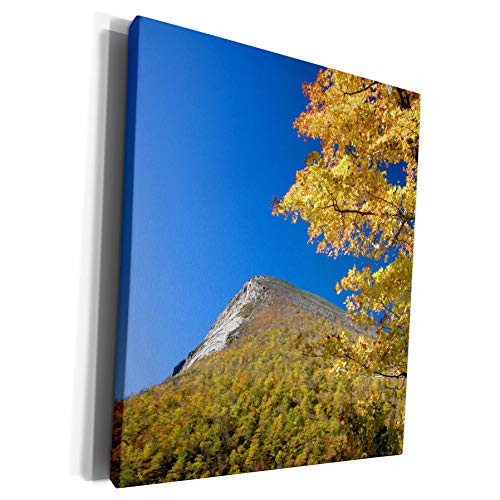3dRose Danita Delimont _ Mountains _ White Mountains_ Franconia Notch_ New Hampshire _ US30 DFR0084 _ David R. Frazier _ Museum Grade Canvas Wrap _cw_92341_1_ 3dRose Danita Delimont _ Mountains _ White Mountains_ Franconia Notch_ New Hampshire _ US30 DFR0084 _ David R. Frazier _ Museum Grade Canvas Wrap _cw_92341_1_