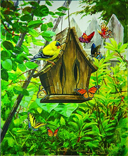 Butterfly B  and  B 300 Pc Jigsaw Puzzle by SunsOut