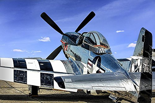Laminated 36 inch x24 inch  High Quality Poster  Plane Aircraft Military P_51 Fighter Aviation Airplane Ww2 Wings Prop Airshow Usaf