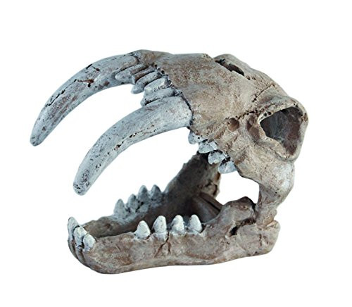 Haquoss Tiger Skull Ornament for Aquarium Decor_ 13 cm Length x 7 cm Width x 10 cm Height