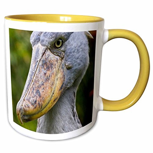 3dRose Danita Delimont - Birds - Shoebill bird, Entebbe, Uganda, Africa - AF48 MZW0003 - Martin Zwick - 15oz Two-Tone Yellow Mug (mug_132128_13)
