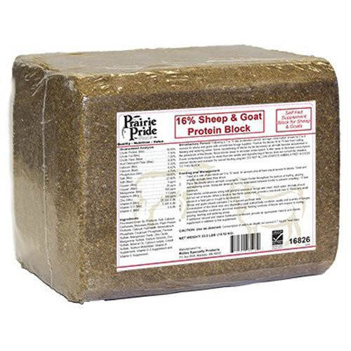 RIDLEY 16826 33LB Sheep Goat Block