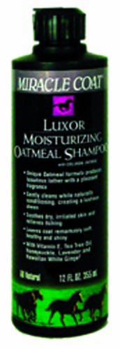 Miracle Coat Luxor Moisturizing with Oatmeal and Tea Tree Oil Horse Shampoo 12 oz.