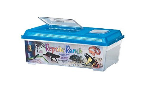 Lee s Reptile Ranch  Large  Rectangle with Lid  Colors may Vary