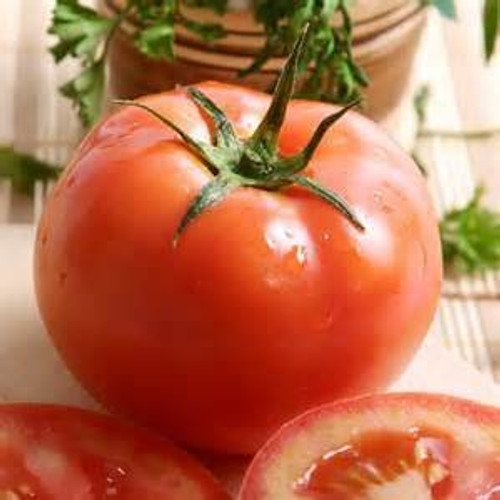 Rugged Boy Tomato Seeds 50 Seed Pack  USA Product. Packed by JACOBS LADDER ENT. -25-