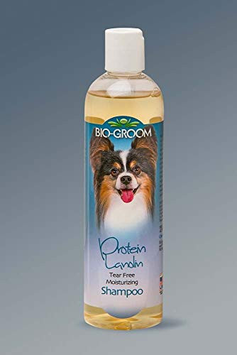 BioGroom Protein Lanolin Pet Shampoo 12oz