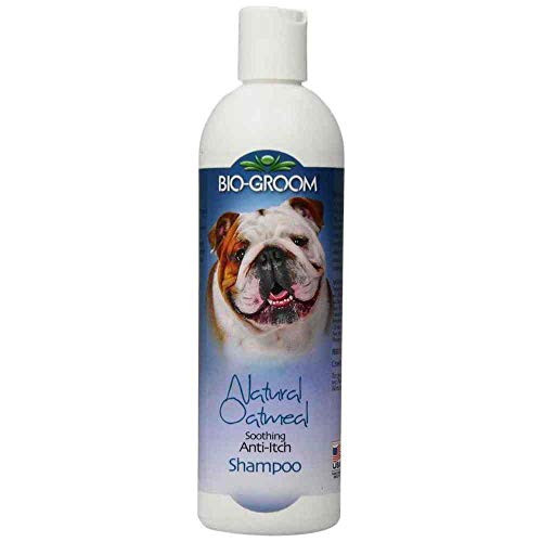 Bio-groom Oatmeal Shampoo 12 oz