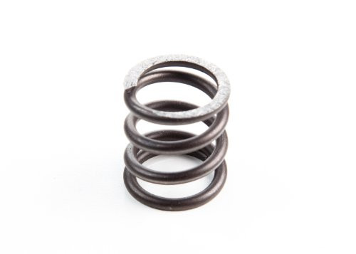 Briggs  and  Stratton 26826 Valve Spring Replaces 555553  26826