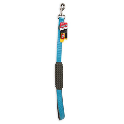 Petmate Dogzilla Leash  Light Blue  1 inch x 2