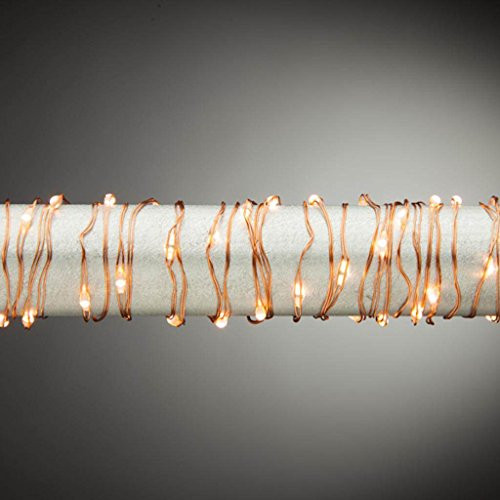 Gerson Everlasting Glow 92967 Outdoor Electric LED Light String  10