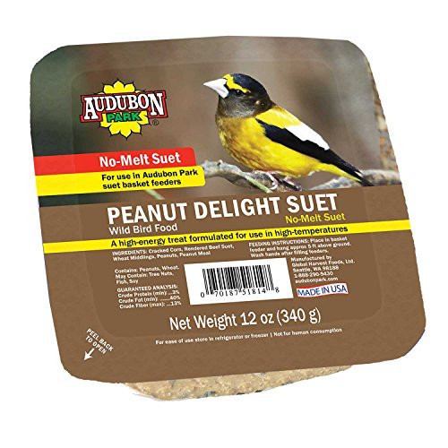 Audubon Park 13069 Peanut Delight Suet Cake Wild Bird Food  12-Ounces