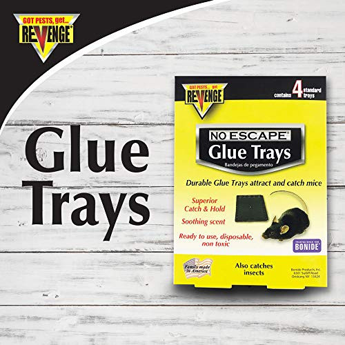 Bonide -BND47026 - Revenge No Escape Mouse Glue Traps  Indoor Sticky Trap for Mice and Rats -4 Pack-
