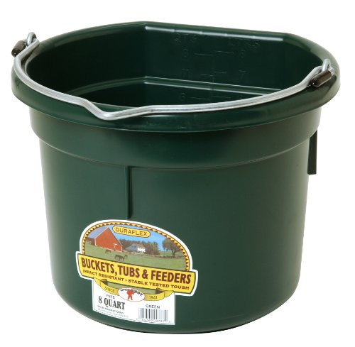 Miller Manufacturing P8FBGREEN Flat Back Bucket for Dogs and Horses  8-Quart  Green