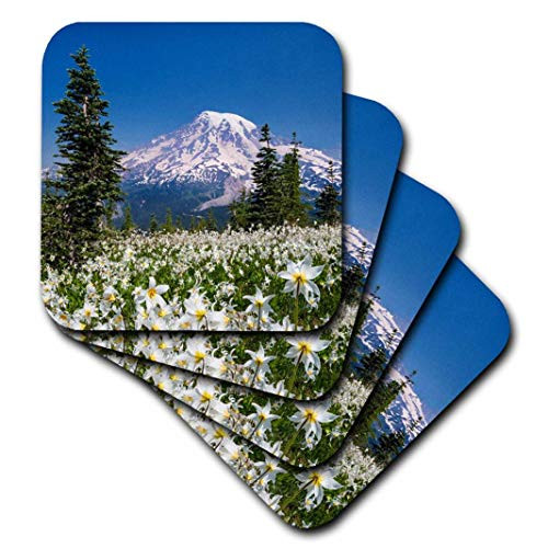 3dRose CST_208008_3 USA, Washington, Mount Rainier NP Avalanche Lilies & Mount Rainier Ceramic Tile Coaster (Set of 4)
