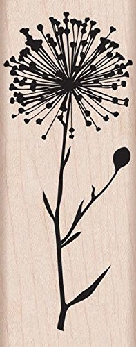 Hero Arts Wood-Mounted Rubber Stamp  Silhouette Burst