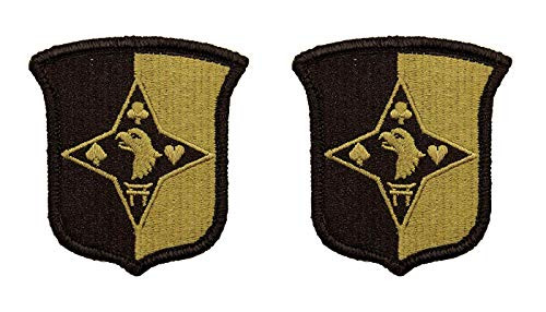101st Sustainment Brigade OCP Patch -2 Pack -Military Issued--Veteran Owned Business