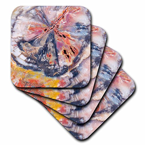 3D Rose Arizona Forest National Park Petrified Wood Detail Ceramic Tile Coasters, Multicolor