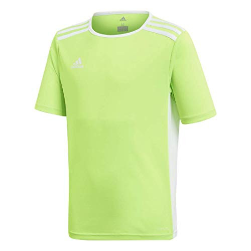 adidas Boys  Entrada 18 Jersey  Solar Green White  Medium