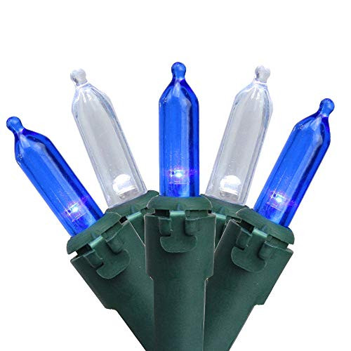 Northlight 50 Blue and White LED Mini Christmas Lights - 16.25 ft Green Wire