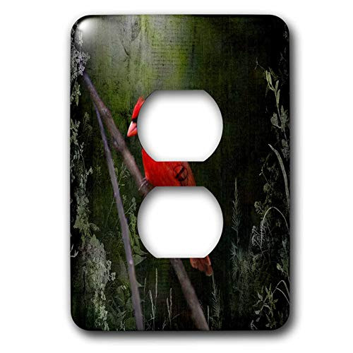 3dRose lsp_48670_6 Wild Brid Cardinal Bird In Spring Art Home Decor 2 Plug Outlet Cover