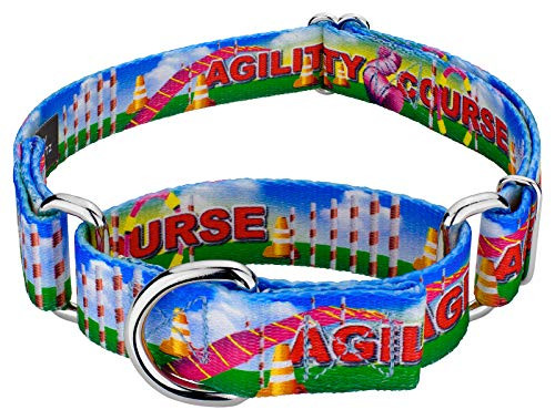 Country Brook Petz - Agility Martingale Dog Collar  Medium