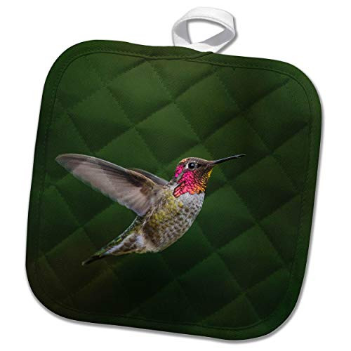 3dRose USA  WA. Male Annas Hummingbird  displays its gorget while. - Potholders -phl_332615_1-