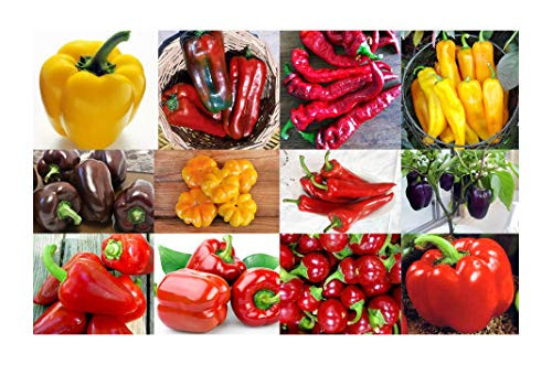 This is A Mix!!! 30 Plus  Sweet Pepper Mix Seeds  12 Varieties Heirloom Non-GMO  Pimento  Purple Beauty  from USA