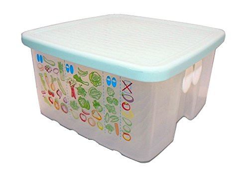 Tupperware Classic FridgeSmart Container Small 4.5 Cup Mint Green Seal