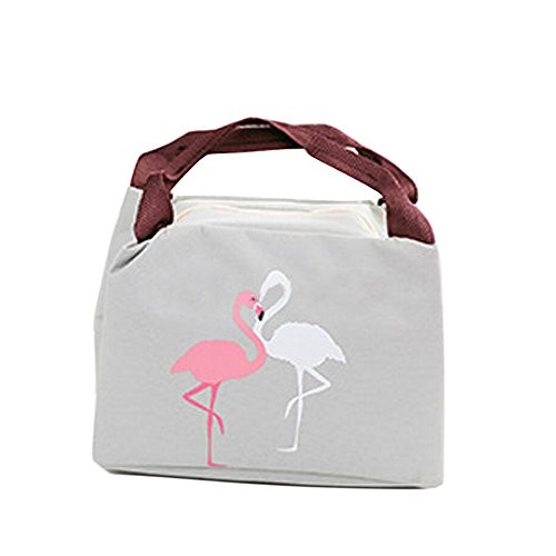 LAAT 1pcs Insulated Lunch Box Cooler Bag Picnic Bag Lunch Tote Bag Lunch Holder Lunch Box Lunch Bag Thermal Insulation Lunch Pouch Picnic Box Portable Cooler Sacks Insulated Storage Container