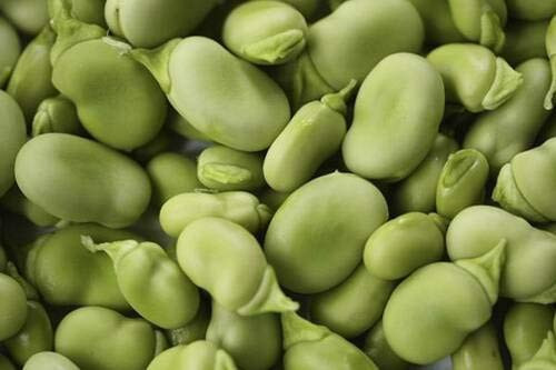 thronesfarm Bean Mix Garden Collection  Heirloom Varieties -6 Top Varieties per Packet-  Vegetable Seeds