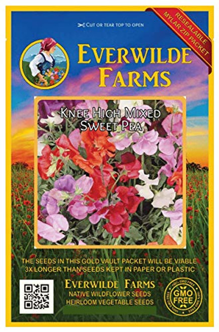 Everwilde Farms - 50 Knee High Mix Sweet Pea Wildflower Seeds - Gold Vault Jumbo Seed Packet