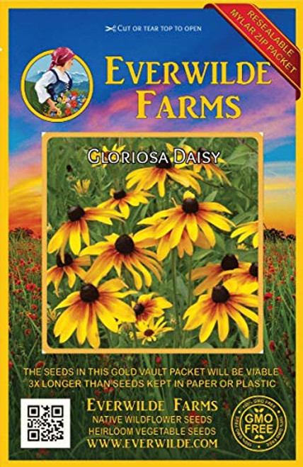Everwilde Farms - 2000 Gloriosa Daisy Native Wildflower Seeds - Gold Vault Jumbo Seed Packet
