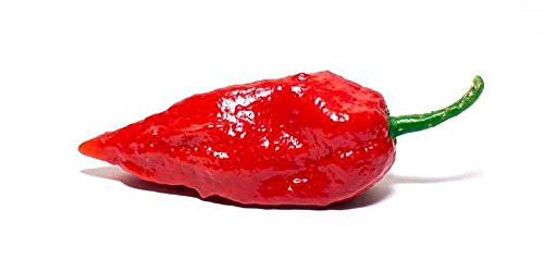 Bhut Jolokia Ghost Pepper Seeds -Pack of 10- Bhut Jolokia Ghost Pepper Seeds -Pack of 10-