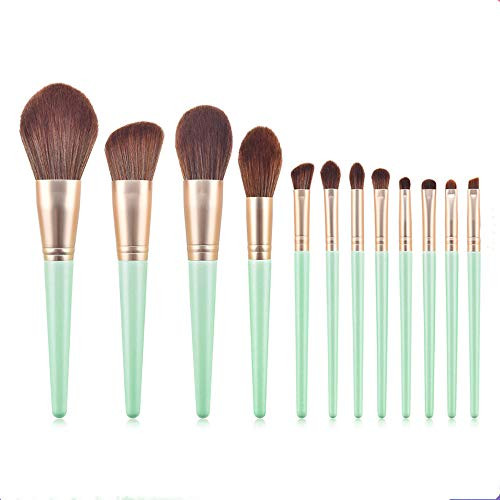 12 Pcs Makeup Brush Set Loose Powder Blush Brush Beauty Tools For Beginners