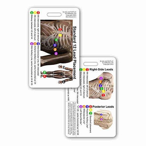 12 Lead EKG Placement Vertical Badge Reference Card -1 Card-