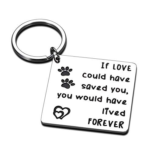 Cat Dog Memorial Gifts Keychain Loss of Dog Cat Gifts for Pet Owner Sympathy Gifts for Dogs Cat Jewelry Remembrance Gift Paw Keychain Cat Dog Memorial Gifts Keychain Loss of Dog Cat Gifts for Pet Owner Sympathy Gifts for Dogs Cat Jewelry Remembrance Gift Paw Keychain