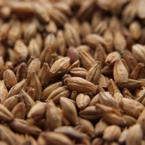 Chateau -Castle- Munich Light Malt 1 lb