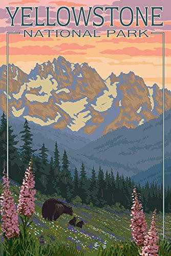 Yellowstone National Park  Wyoming - Spring Flowers -12x18 Art Print  Wall Decor Travel Poster-