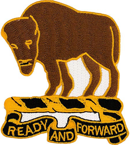 10th Cavalry Regiment Patch Full Color