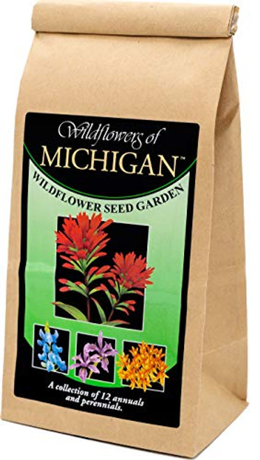 Michigan Wildflower Seed Mix - A Beautiful Collection of Twelve annuals and perennials - Over 40 000 Premium Seeds - Enjoy The Natural Beauty of Michigan Flowers in Your own Home Garden